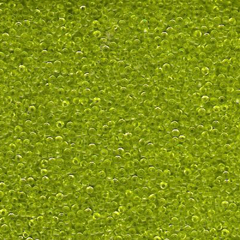 #16/0 ROCAILLES - APPROX 2G - GREEN
