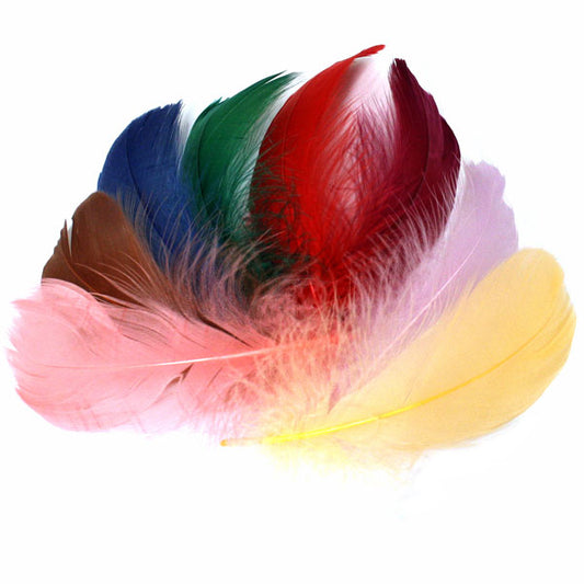 CRAFT FEATHERS 8-12CM APPROX 90 PCS