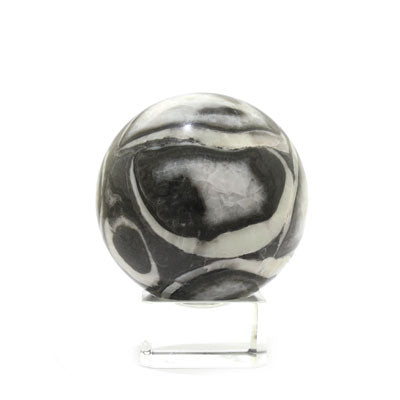 SHELL JASPER SPHERE 6CM