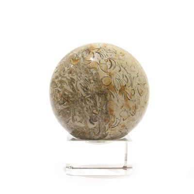 FOSSIL SPHERE 5CM